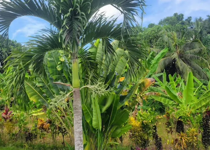 Zebra Hidden Gem With Private Pool, Billiard, Massage & Private Cook In Ubud