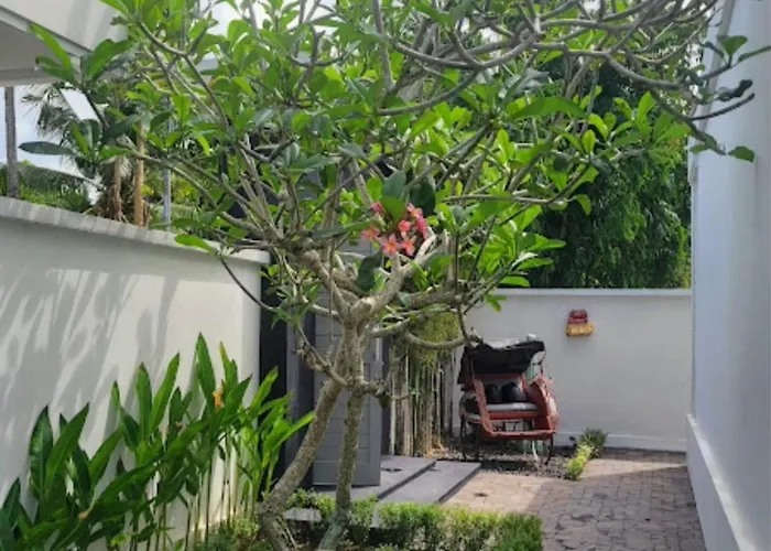 Villa Zebra Hidden Gem With Private Pool, Billiard, Massage & Private Cook In *