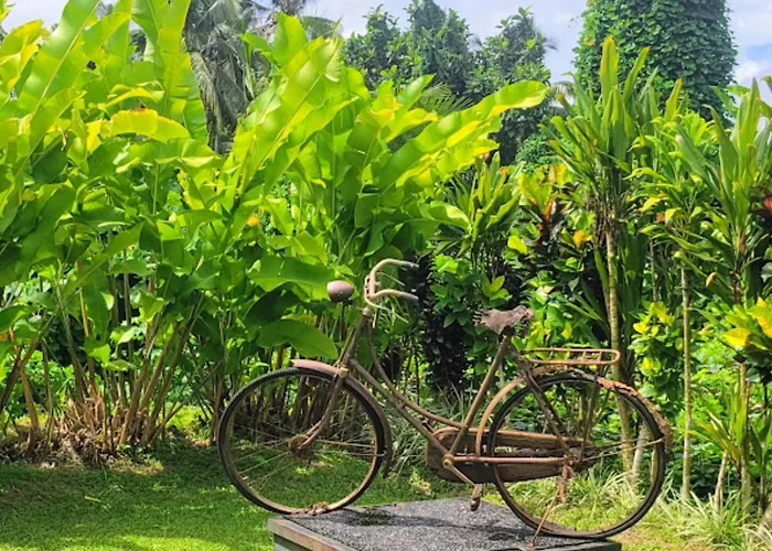 Villa Zebra Hidden Gem With Private Pool, Billiard, Massage & Private Cook In